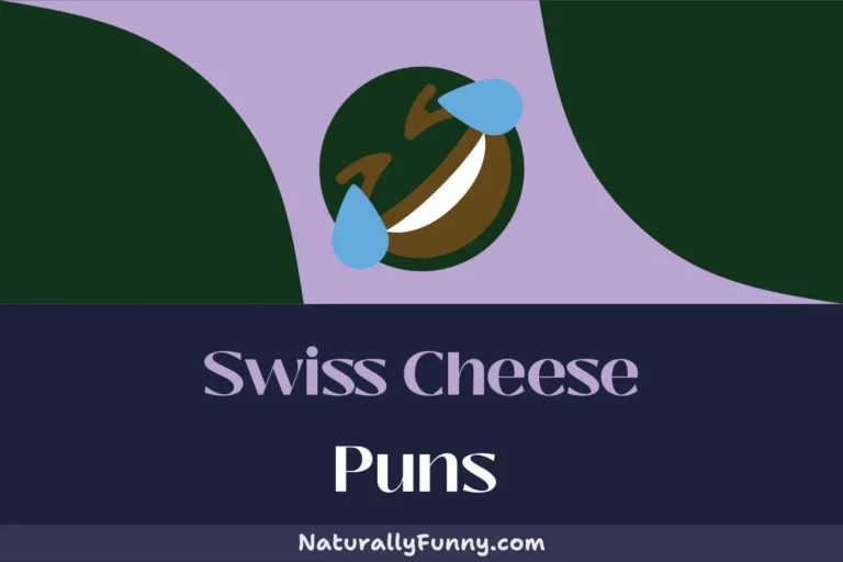 486 Swiss Cheese Puns to Brie-ten Your Day