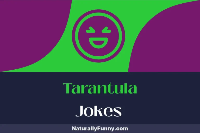 600 Tarantula Jokes for Web-Slinging Wit and Humor
