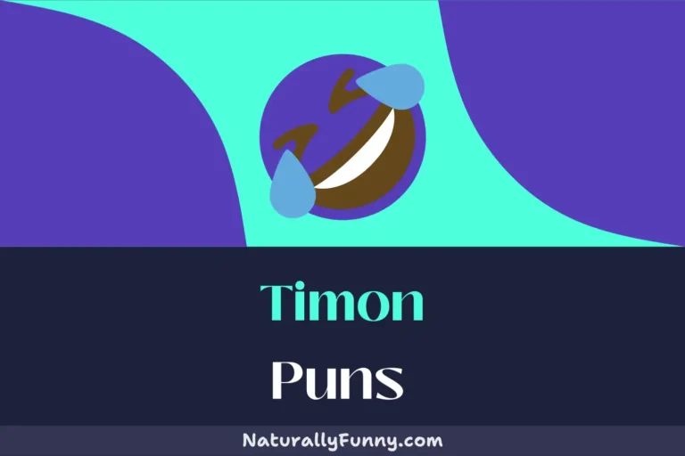 743 Timon Puns That Are Guaranteed to Spark a Mane Event