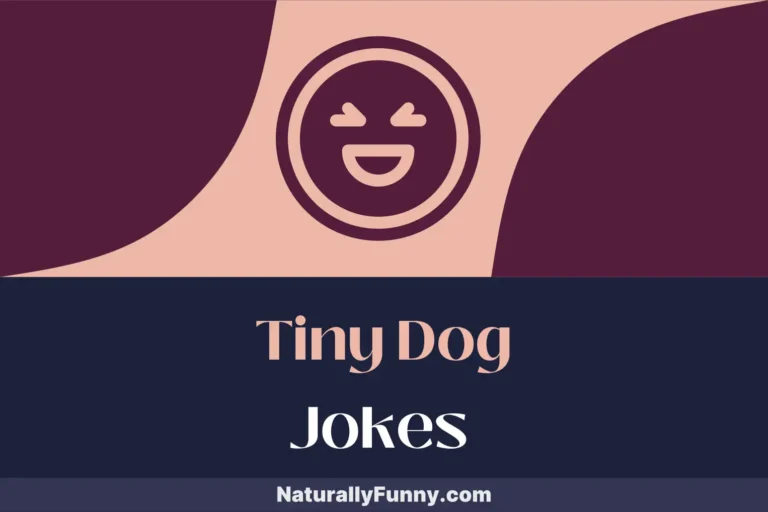 653 Tiny Dog Jokes That Are Pawsitively Hilarious