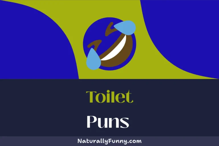 449 Toilet Puns That Will Make You Crack Up in the Loo