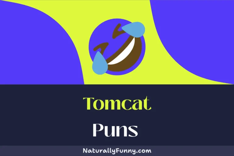 564 Tomcat Puns to Make Your Day Fur-tastic