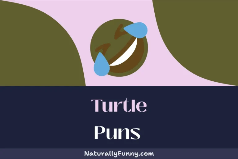 460 Turtle Puns That Are Turtley Hilarious