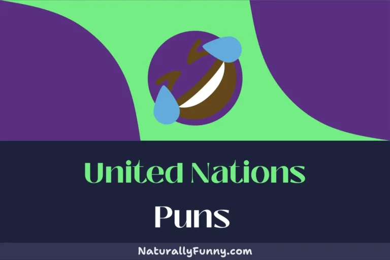 487 United Nations Puns to Make Every Diplomat Chuckle