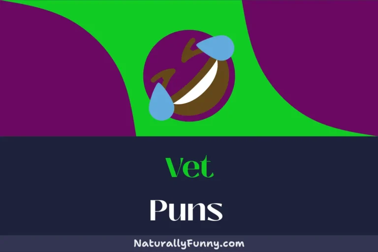 519 Vet Puns That Will Make You Smile, No Kitten Around