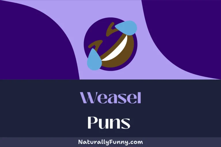 572 Weasel Puns to Make You Chuckle Like a Weasel