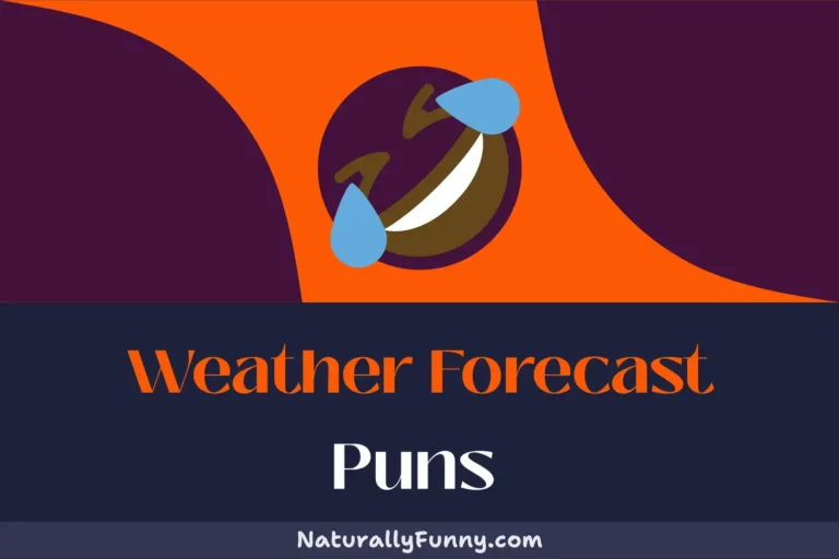 530 Weather Forecast Puns That Will Blow You Away