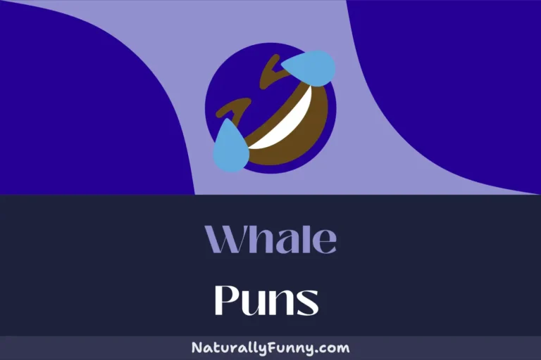 544 Whale Puns to Dive Deeper into Humor