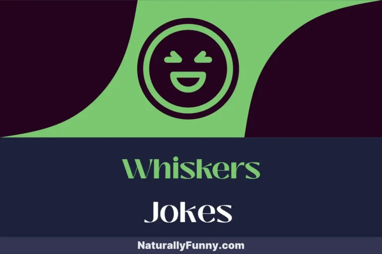 779 Whiskers Jokes That Prove Cats Have a Sense of Humor