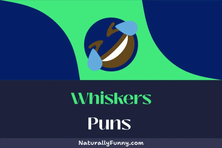 593 Whiskers Puns for a Meow-velous Laugh