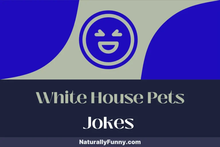 943 White House Pets Jokes for a Roaring Good Time