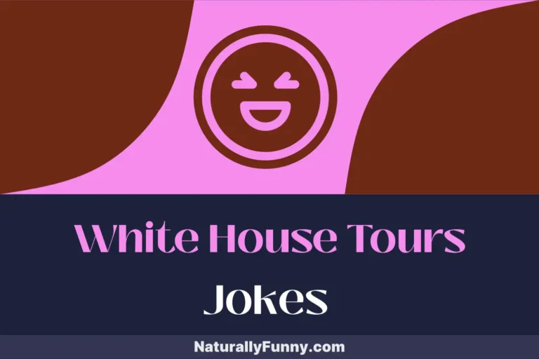 871 White House Tours Jokes That Make Politics a Punchline