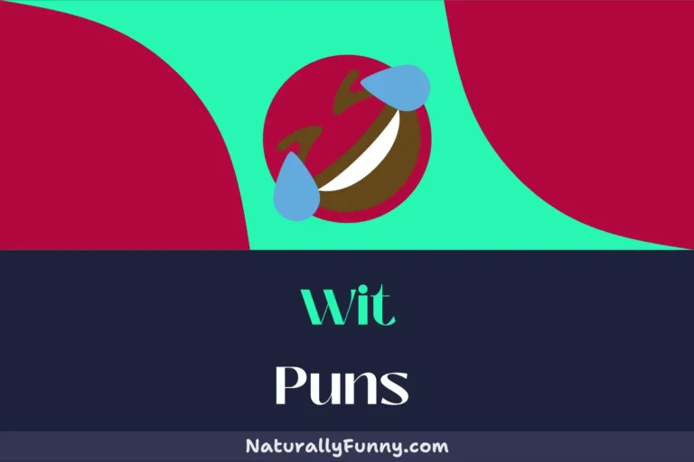 538 Wit Puns That Will Keep You Sharp and Smiling