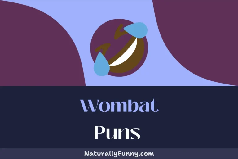 561 Wombat Puns That Are Outrageously Wombalicious