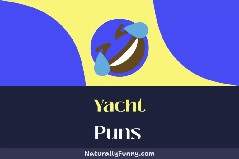 572 Yacht Puns That Will Sail You into Splits